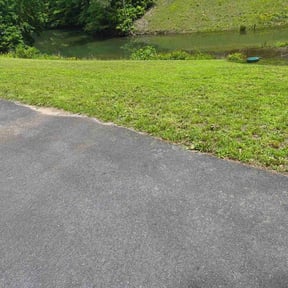 Bush Trimming by Yard Love and Care Inc reviewed on November 28, 2025