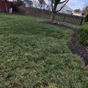 Leaf Removal by Prolific Pro Services reviewed on September 7, 2025