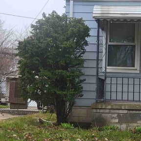 Bush Trimming by Bills Lawn Care reviewed on April 4, 2026
