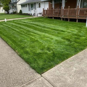 yard work by Lakeith carlyle reviewed on March 22, 2024