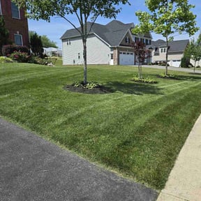 lawn maintenance by Bookert Lawncare Service reviewed on July 12, 2025