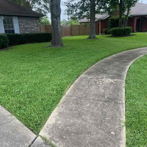 yard care by Alexis perez reviewed on February 14, 2023