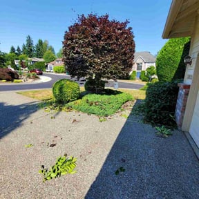 Bush Trimming by K's Lawn Care reviewed on August 19, 2025