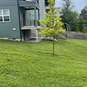 landscaping services by Oak Landscaping reviewed on August 19, 2025