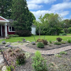 yard maintenance by Dabbic Lawn Care LLC reviewed on August 17, 2025