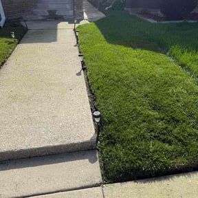 landscape maintenance by Donald Patterson reviewed on August 15, 2025