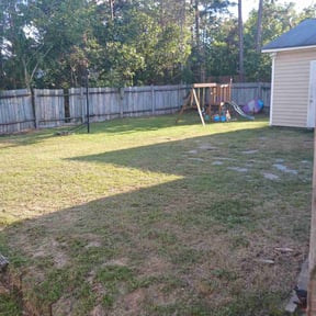 Bush Trimming by Vega & Sons Landscaping reviewed on August 19, 2025