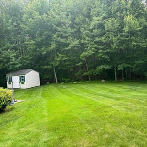 grass cutting by Harry&#039;s landscape reviewed on August 16, 2025