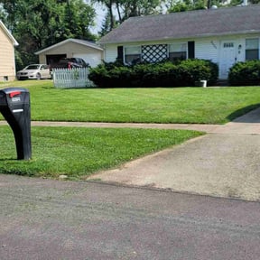 yard service by Mower Lawn & Landscape LLC reviewed on August 14, 2025