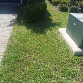 Bush Trimming by InAbind Mowing reviewed on August 19, 2025