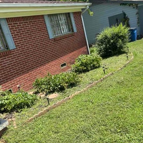 Flower Bed Weeding by Willam Bonavida reviewed on July 8, 2026