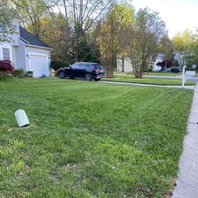 residential landscaping by Quasny & Son Landscaping reviewed on August 16, 2025