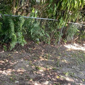 Leaf Removal by Powell Lawn Care reviewed on April 26, 2026