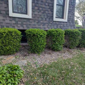 Leaf Removal by J&amp;L lawn&amp; landscape reviewed on September 9, 2025