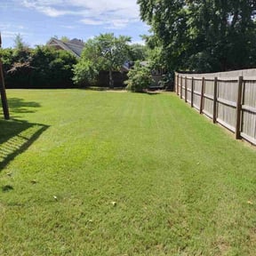 yard service by Verde Lawncare reviewed on August 19, 2025