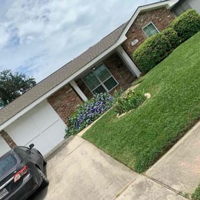 Bush Trimming by PerfectCutLawn reviewed on May 26, 2022