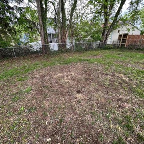 Leaf Removal by Blue Diamond Cleaning Services reviewed on August 17, 2025