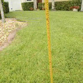 yard care by Clark and son lawn care reviewed on December 31, 2025