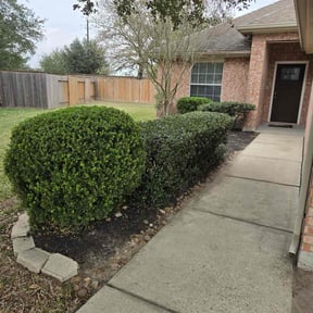 Bush Trimming by Scott Laver lawn service reviewed on January 20, 2026