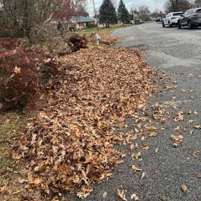 Leaf Removal by High Demand Co LLC reviewed on August 22, 2026