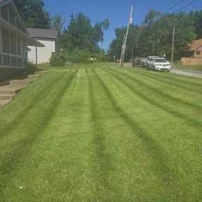 yard maintenance by Great Lawn Service LLC reviewed on November 22, 2025