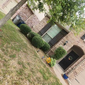 Bush Trimming by GG Landscaping reviewed on October 21, 2025