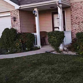 grass maintenance by jalapenolandscaping reviewed on June 14, 2025