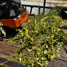 Flower Bed Weeding by ChampStatus Lawn service reviewed on August 25, 2026