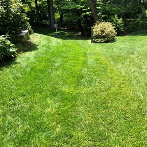 Long Grass Cleanup by Complete Care Lawn Service LLC reviewed on August 15, 2025