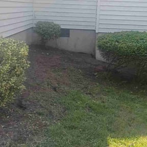 Bush Trimming by DreamworX LLC reviewed on October 24, 2025