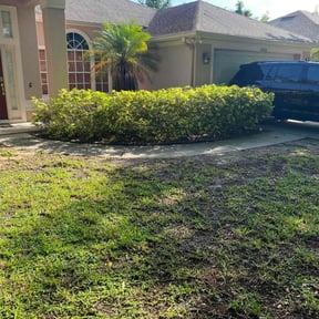Bush Trimming by Cutting Edge Lawn Services reviewed on August 13, 2025