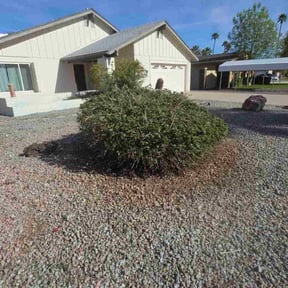 Bush Trimming by QeeDeeLawns reviewed on January 18, 2026