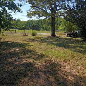 Bush Trimming by The Lawn Barbers STC LLC reviewed on April 22, 2026