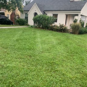 Bush Trimming by DJS Lawn care reviewed on August 17, 2025