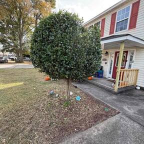 Bush Trimming by Z's LawnCare and Landscaping reviewed on August 18, 2025