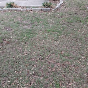 Leaf Removal by LLJ lawncare &amp;pressurewashing reviewed on September 21, 2025