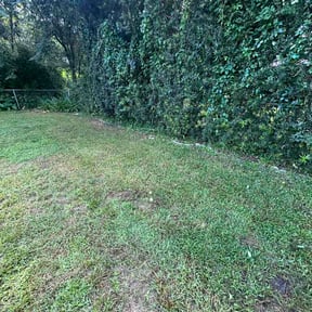 Bush Trimming by Homestead Outdoor Service reviewed on September 16, 2026