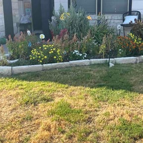 Flower Bed Weeding by Nate Becotte reviewed on September 1, 2026