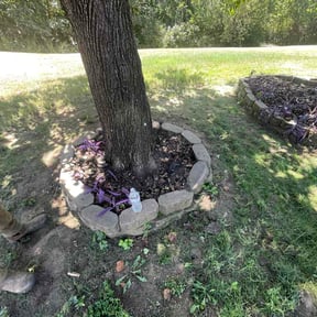 Flower Bed Weeding by David W Services LLC reviewed on September 16, 2026