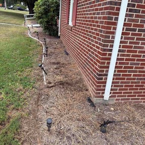 Flower Bed Weeding by Whip it Clean Inc. reviewed on September 11, 2026
