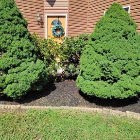 Flower Bed Weeding by Deangelo reviewed on September 13, 2026