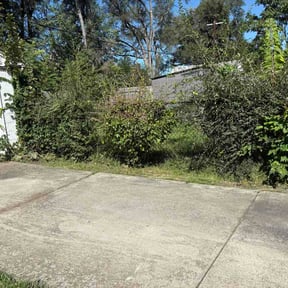 Bush Trimming by Black Oak Lawn and Lumber reviewed on September 14, 2026