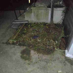 Flower Bed Weeding by Vegas Lawn Guru reviewed on September 14, 2026