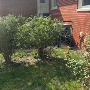 Flower Bed Weeding by We Go Kc Lawn and Snow reviewed on September 2, 2026