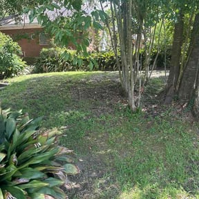 Leaf Removal by Super Clean Lawn Service reviewed on September 12, 2026