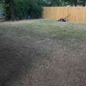 Leaf Removal by Felicianos Lawn Maintenance LLC reviewed on September 15, 2026