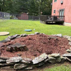 Flower Bed Weeding by Greentrust Landscapin LLC reviewed on September 15, 2026
