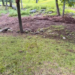 Leaf Removal by Keep It Green reviewed on August 23, 2026