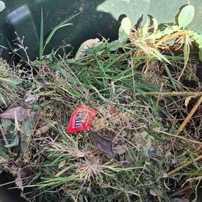 Flower Bed Weeding by Ortique Crew reviewed on October 9, 2026