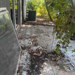 Leaf Removal by 3D Lawn Co reviewed on October 9, 2026